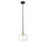 Oxley 10 in. Matte Black And Brass 1-Light Pendant With Clear Glass Globe