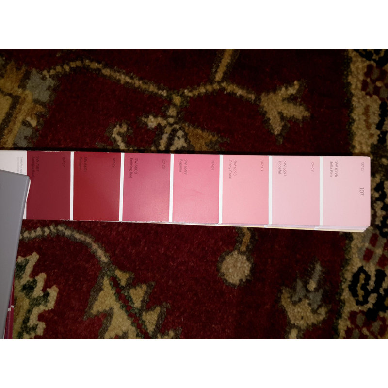 Kassam Oriental Area Rug in Red