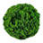 Jayceon 4" Real Preserved Cockscomb Topiary Decorative Orbs – Set of 3