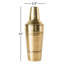 Gerbera Brass Stainless Steel Shaker