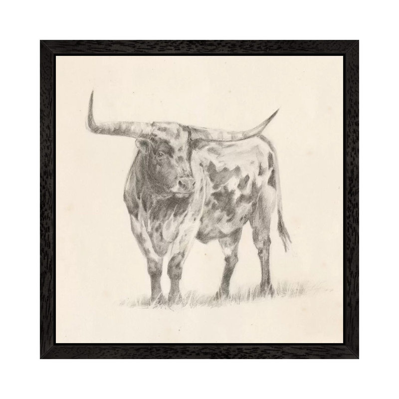 Longhorn Steer Sketch II by Ethan Harper - Single Picture Frame Giclée Art Print on Canvas, 45.72 cm H x 45.72 cm W