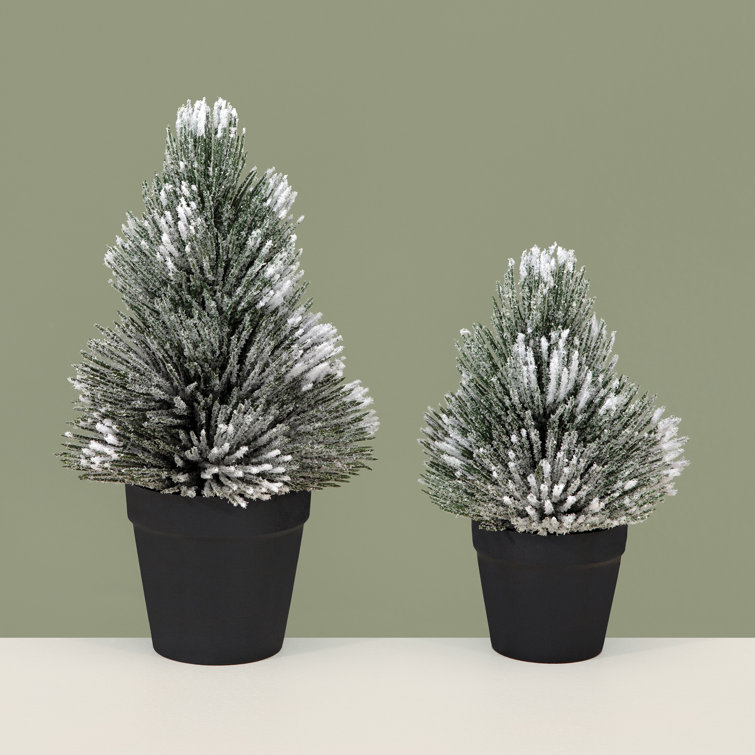 Primrue Pine Tree Pot | Wayfair