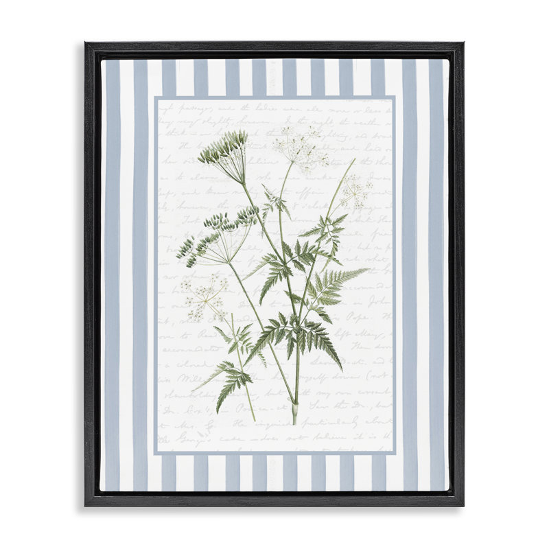Cadre flottant à rayures bleues Vintage Herbs, design par lettré et doublé, Noir, H 21 po x l 17 po
