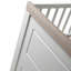 Felicia Convertible 2 -Piece Nursery Furniture Set