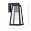 Aagje Black/Clear Plug-in Outdoor Wall Lantern
