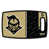 Central Florida Knights