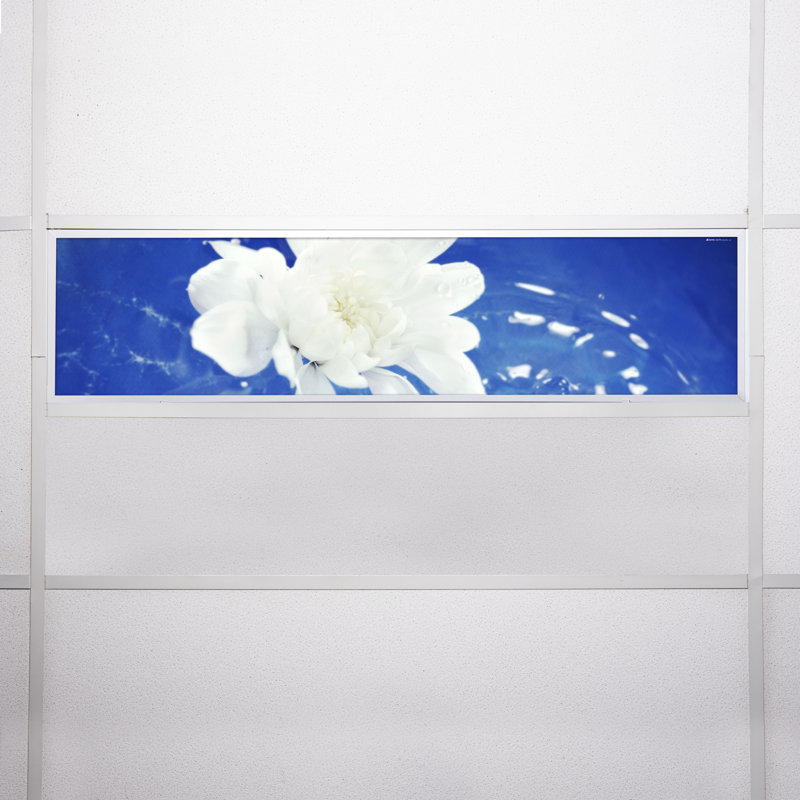 Flower Rectangle Fixture Component Ceiling Light
