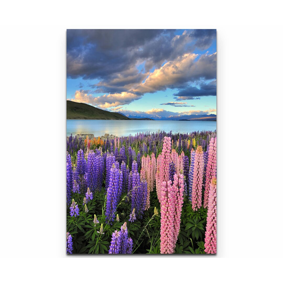 Leinwandbild Lupinen am Ufer des Lake Tekapo – Neuseeland