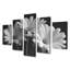 Monochromes noir et blanc «Bliss Daisy Photo IV - Daisies», ensemble d'art sur toile