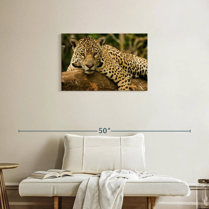 Intense Jaguar Gaze, 20" H x 30" W