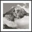 Snowscape 4 Print by Studio L57 Narrative-1639691625