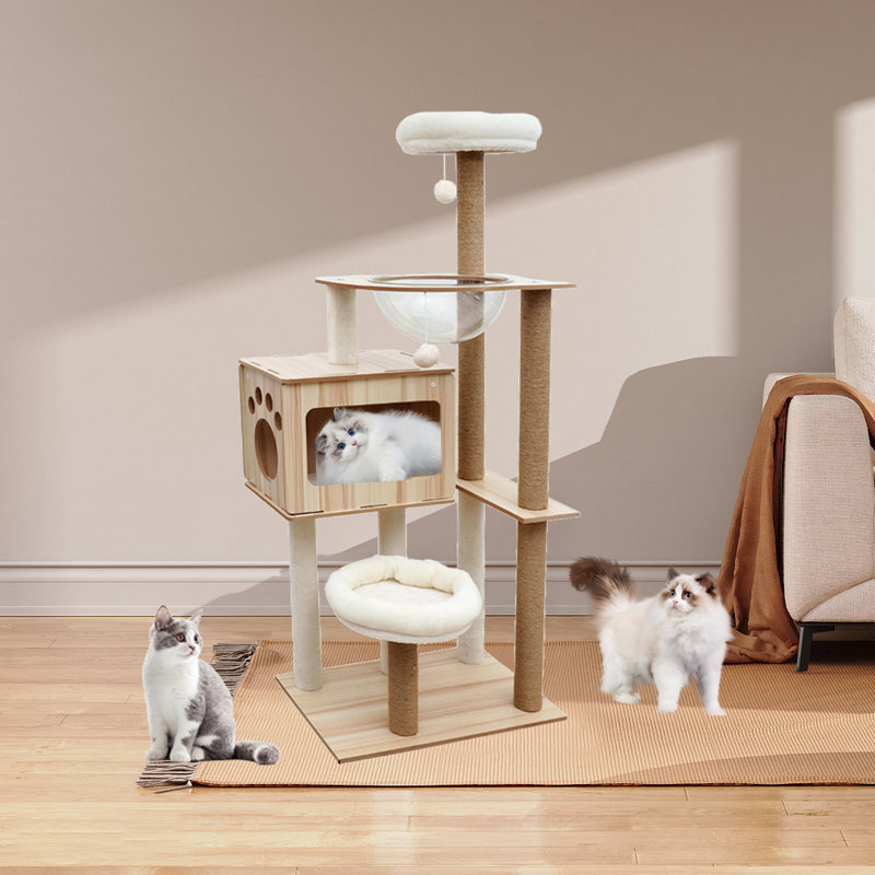 Edolia 53'' H Cat Tree