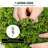 24" Artificial Boxwood Topiary in Pot-132569596