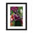 Black Framed Paper is unavailable
