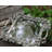 Majestic Forest Glass Tray