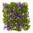 2'' Flowering Plant