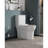 White Ceramic Toilet, 1.1/1.6 , Elongated, Comfort Height, & One White, Comfortable Form