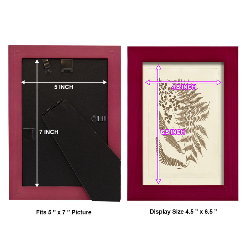 Meggan Sepia Ferns III, reproduction d'art encadrée, L 7 po x H 9 po x P 1 po, Rouge