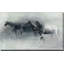 In The Mist - Peinture-1096386821-1096386822