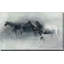 In The Mist - Peinture-1096386821-1096386831