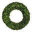 Boxwood Wreath-1919842297