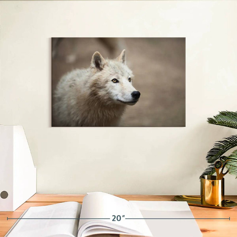 Arctic White Wolf, 8" H x 12" W