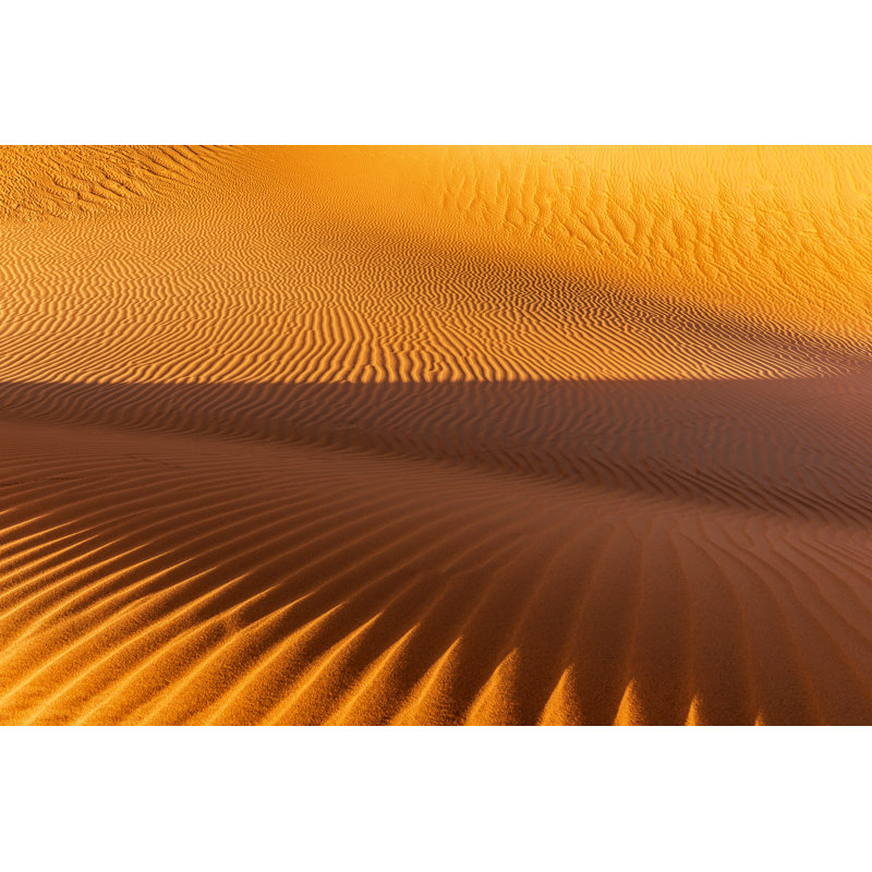 Chebbi Desert by Pavliha