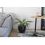 Plante grasse artificielle en pot 35,5 "Panama
