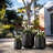 Brennus 3-Piece Cement Pot Planter Set-1068921506