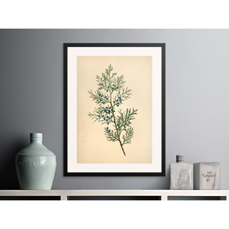 Print, 16x24