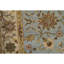 Wool Oriental Area Rug in Ivory
