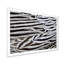 «Silver Pheasant Feathers», peinture sur toile encadrée-67460793-67460799