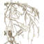 Shinju 6 - Light Chandelier