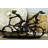Levan Polystone Bicycling People Bronze Decorative Sculpture with Copper Texturing