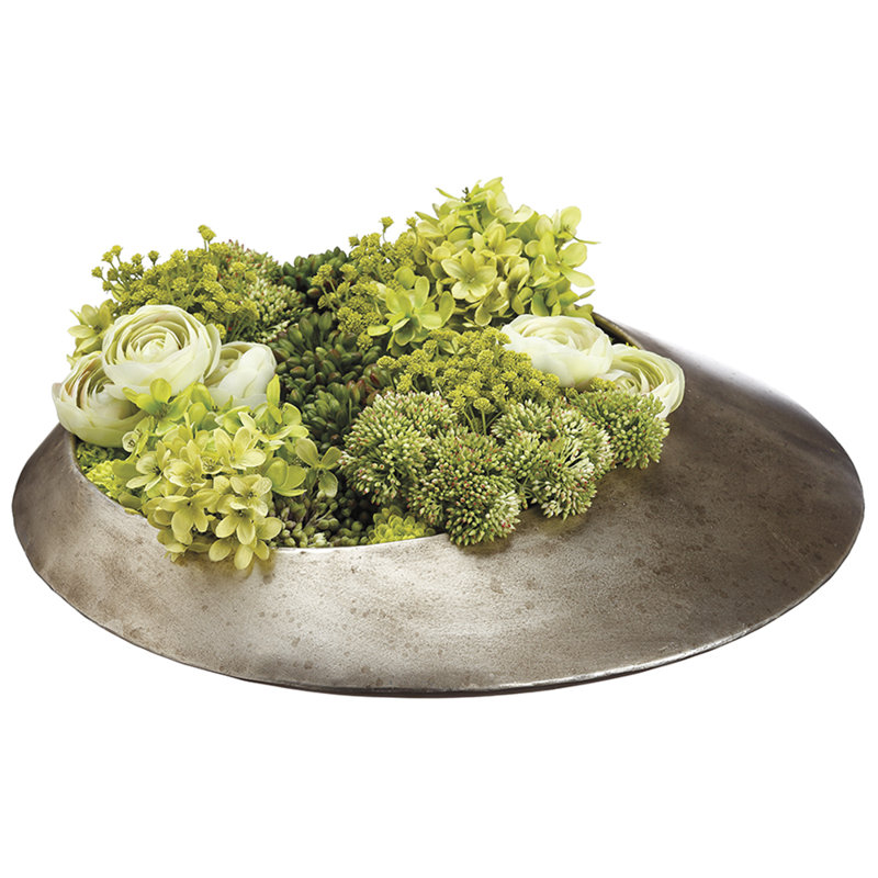 6h18w19"l Hydr/ranunc/sedum(v)