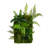 Mixed Foliage Artificial Living Wall