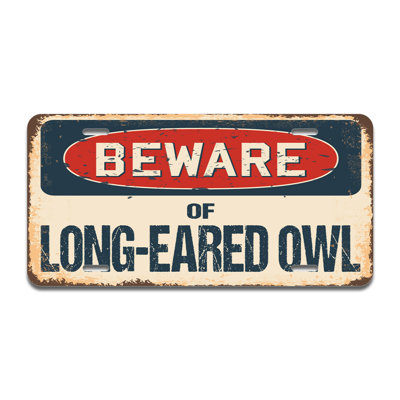 Beware of Long-Eared Owl