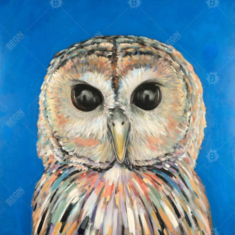 «Hibou tacheté coloré»