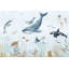 Papier peint sous l'eau Marine Life-710672153-710672152