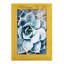 Pastel Succulent Beauty III, encadré sur papier-1798641936-1798641963