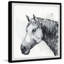 Clydesdale 1 Piece Single Picture Frame Painting-353156390