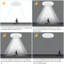 1-Light Flush Mount