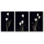 Tulipe Pose I-91891672-91891670