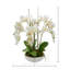 Orchid Arrangement in Round Fiberstone Pot