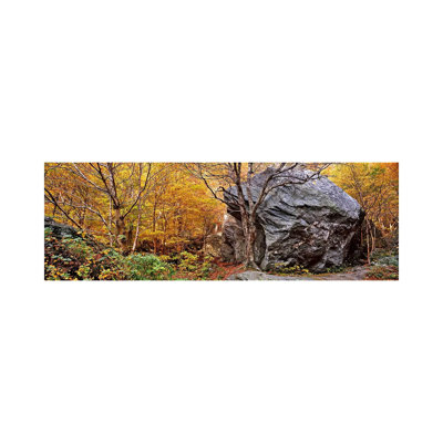Big Boulder In A Forest, Stowe, Lamoille County, Vermont, USA - Wrapped Canvas Panoramic Print