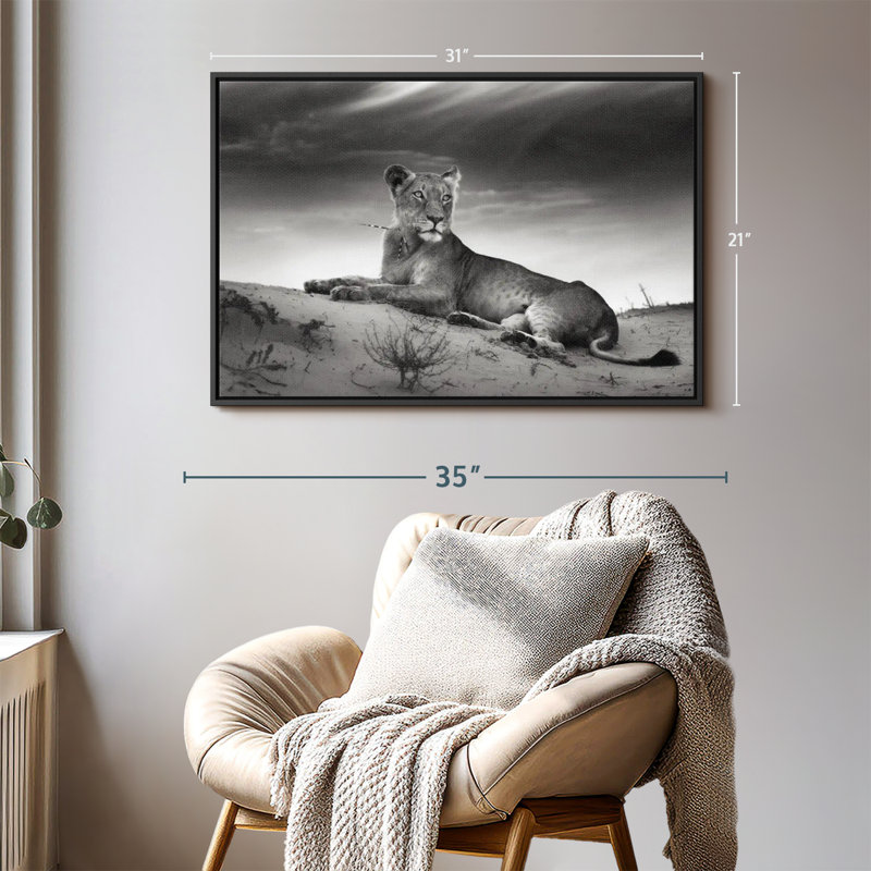 Animal «Lioness Canvas Print», H 21 po x l 31 po
