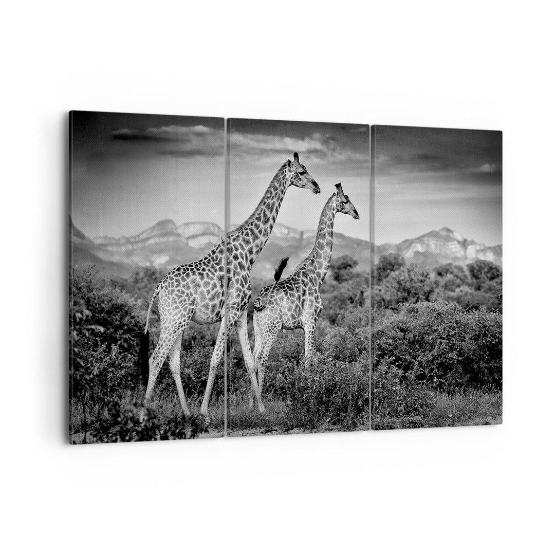 3-tlg. Leinwandbilder-Set Giraffes Black and White