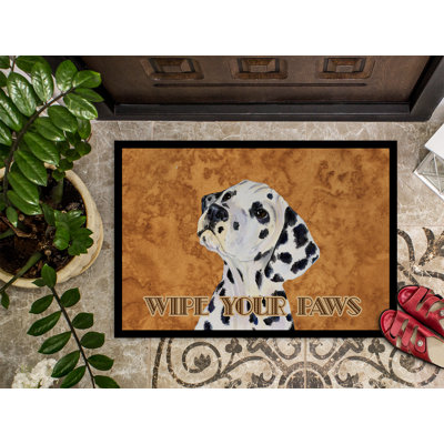 Non-Slip Indoor Doormat