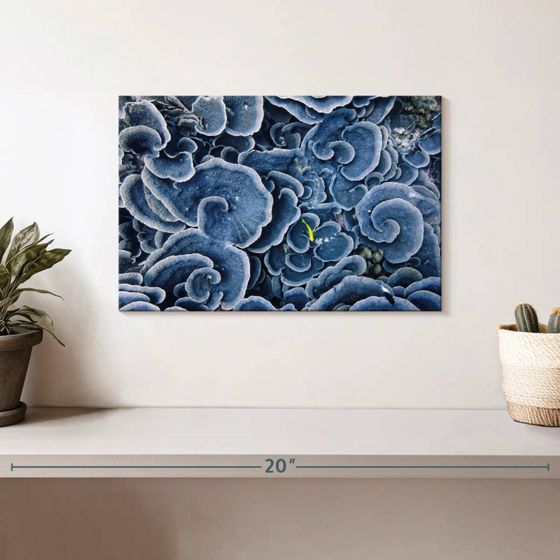 Brampt Beau Vallon Blue Corals