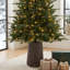 Sapin de Fraser Jasper Elite avec DEL